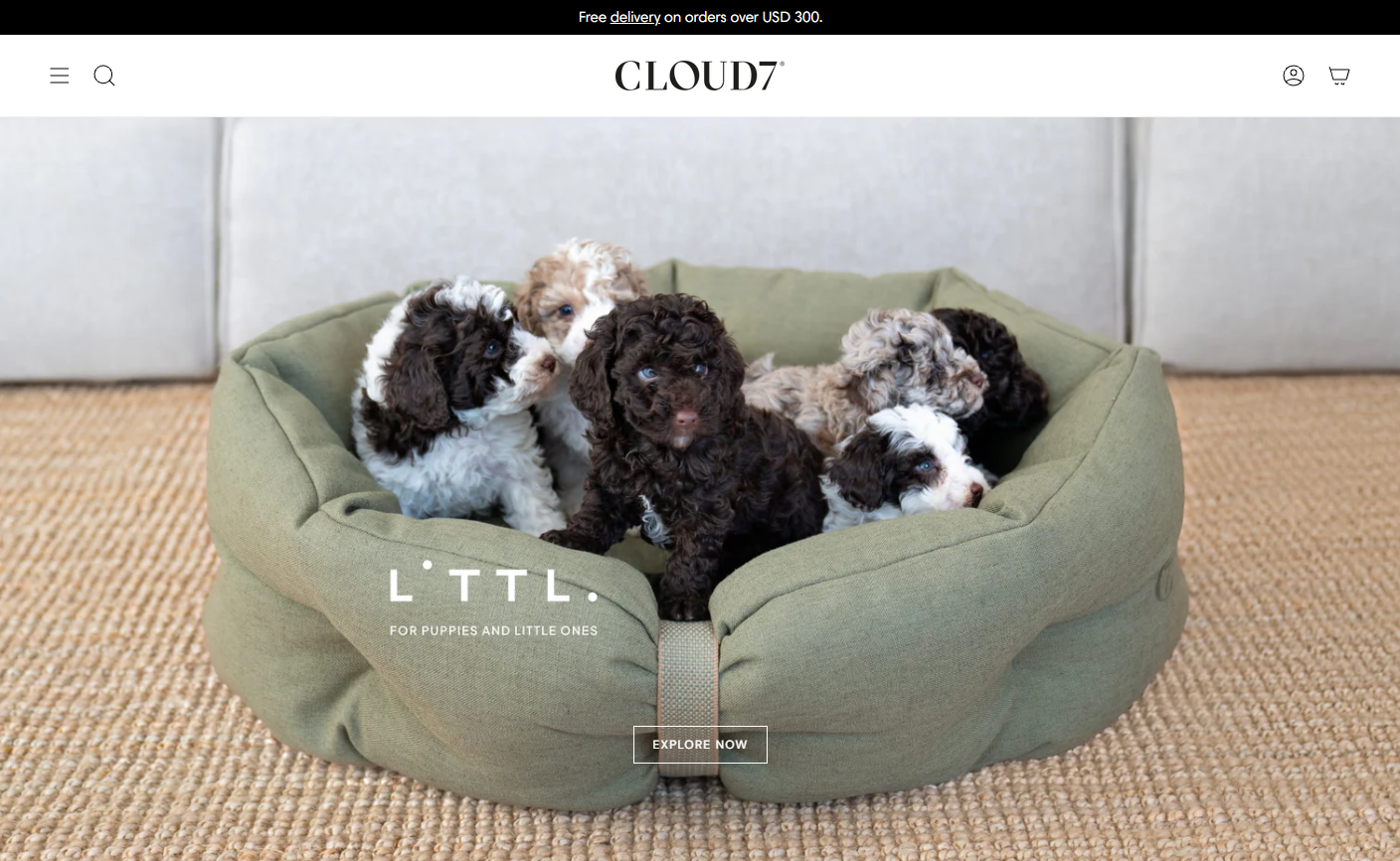 cloud7.png